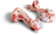 Wholesale Frozen Pork Humerus Bone