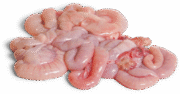 Wholesale Frozen Pork Small Intestines