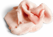 Wholesale Frozen Pork Back Cutting Fat In Spain