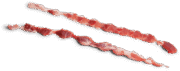 Wholesale Frozen Pork Zippers In Spain